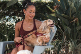 EzyDog Express Dog Harness Burgundy [SZ:SMALL]