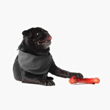 EzyDog EzyBones Chew Dog Toy [SZ:SMALL]