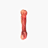EzyDog EzyBones Chew Dog Toy [SZ:SMALL]