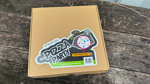 Bainbridge Bird Toy Destructive Pizza Party (4PK)