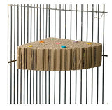 Bainbridge Bird Toy Destructive Corner Cardboard TnS