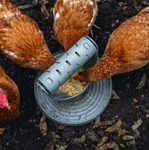 Bainbridge Chicken Playground - 100% Recycled - Play & Feed Tower