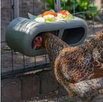 Bainbridge Chicken Playground - 100% Recycled - Chicken Feeder with Attachments