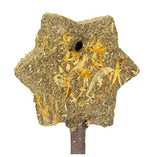 Bainbridge Small Animal Treat - Magic Timothy Wand