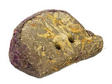 Bainbridge Small Animal Treat - Timothy Apple Slice