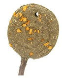 Bainbridge Small Animal Treat - Timothy Lollipop Apple