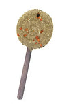 Bainbridge Small Animal Treat - Timothy Lollipop Carrot