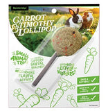 Bainbridge Small Animal Treat - Timothy Lollipop Carrot