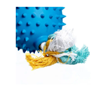 Bainbridge Truddi the Triceratops Treat-a-Saurus Dog Toy