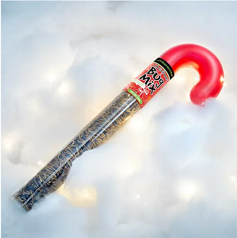 Bainbridge Christmas Cane Bug Mix