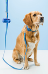 Gummi Pet Slick Lead Blue