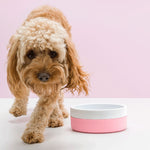 Gummi Pet Ceramic Bowl Pink
