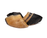 Cow Hooves Single