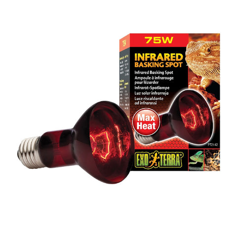 Exo Terra Heat Glo Infrared Heat Lamp 75 Watt