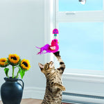 Kong Connects Cat Window Teaser Assorted Colours