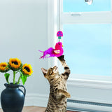 Kong Connects Cat Window Teaser Assorted Colours