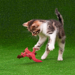 Kong Dynos Cat Toy with Catnip