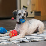 Kong Occasions Birthday Balls 2 Pack Large
