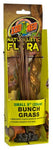 Exo Terra Naturalistic Bunch Grass - 20cm