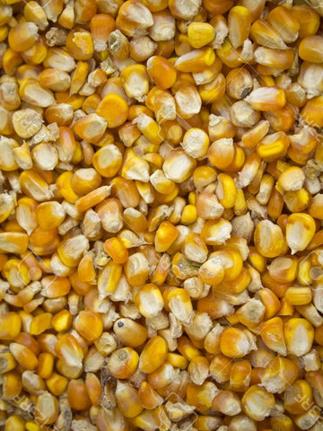 Whole Corn 20kg