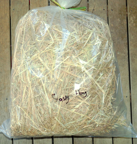 UT Grassy Hay Bagged