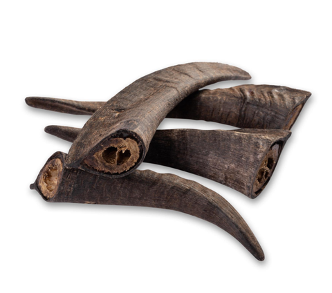 U-Chews Goat Horn with Marrow 20-25cm