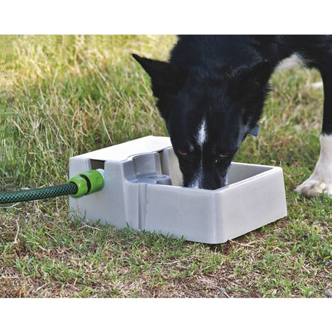 Bainbridge Auto Pet Water Bowl