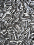 Avigrain Grey Stripe Seeds 15kg