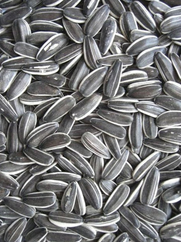 Avigrain Grey Stripe Seeds 15kg