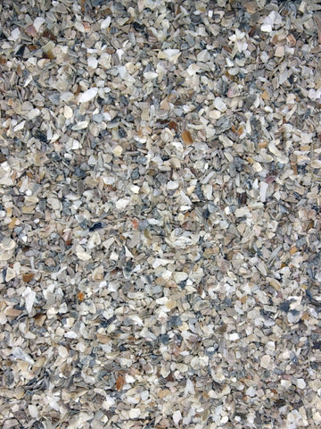 Fine Shell Grit 20kg