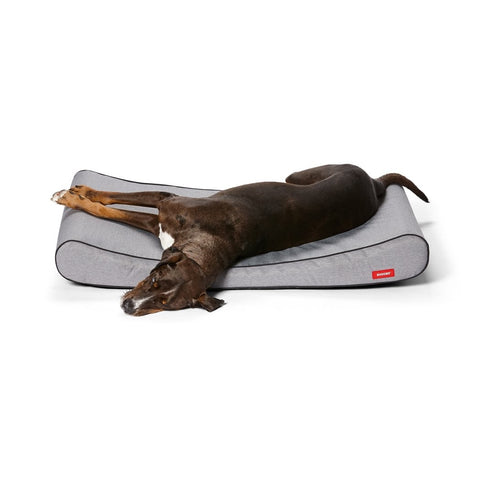 Snooza Ortho Lounger Dog Bed Large Grey