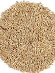 Avigrain Canary Seed 20kg