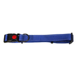 Bainbridge Reflective Adjustable Dog Collar Aqua