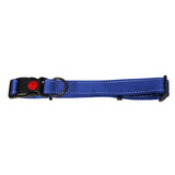 Bainbridge Reflective Adjustable Dog Collar Aqua