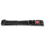 Bainbridge Reflective Adjustable Dog Collar Aqua