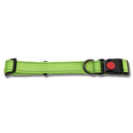 Bainbridge Reflective Adjustable Dog Collar Aqua