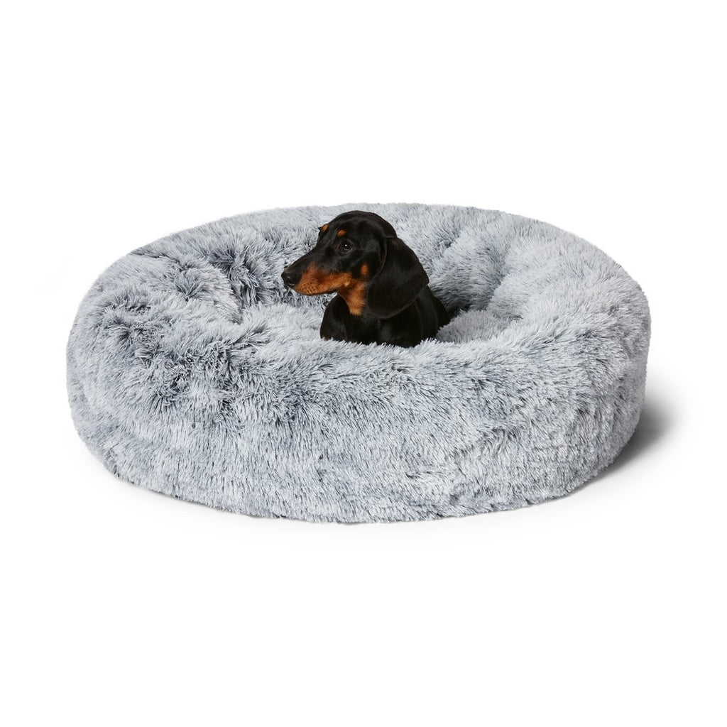 Silver dog on sale bed