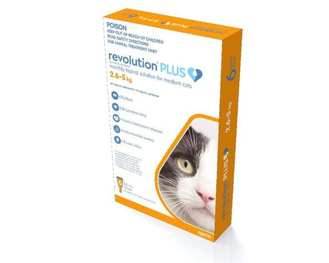 Revolution Plus Cat 2.6-5kg 6 Pack