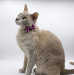 Soapy Moose Cat Collar Fashionista