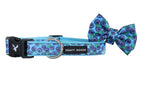 Soapy Moose Blueberries Dog Collar