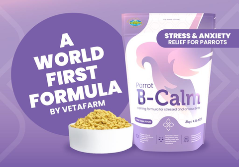 Vetafarm Parrot B Calm Pellets 2kg