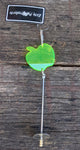 Metal Fruit Spike / Kabob