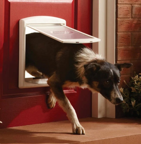 Petsafe Staywell 2 Way Large Pet Door