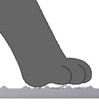 Litter Locker Cat Litter Mat