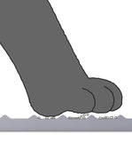 Litter Locker Cat Litter Mat