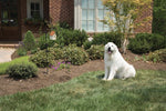 Petsafe Outdoor Bark Control