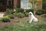 Petsafe Outdoor Bark Control