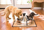 Petsafe Drinkwell Stainless Steel Multi-Pet Pet Fountain 360 Degree