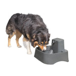 Petsafe Drinkwell Pet Fountain 7.5L