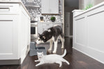 Petsafe Drinkwell Pet Fountain 7.5L